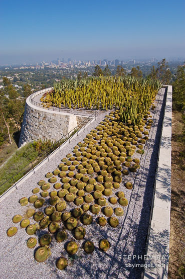 Cactus garden, Getty Center. Los Angeles, California, USA.