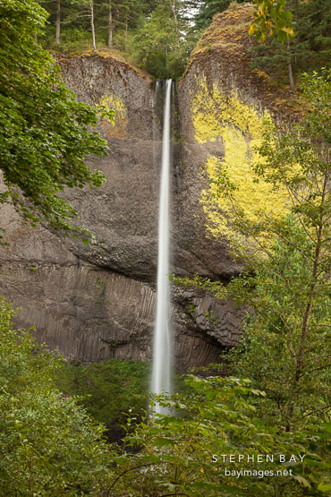 Latourell Falls, Columbia River Gorge, Oregon.
