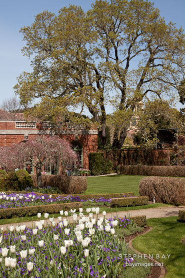 Grounds at Filoli Gardens.