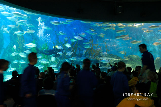 Melbourne aquarium. Melbourne, Australia.