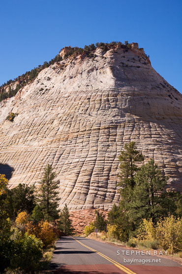 Checkerboard Mesa. Zion Plateau, Zion NP, Utah.