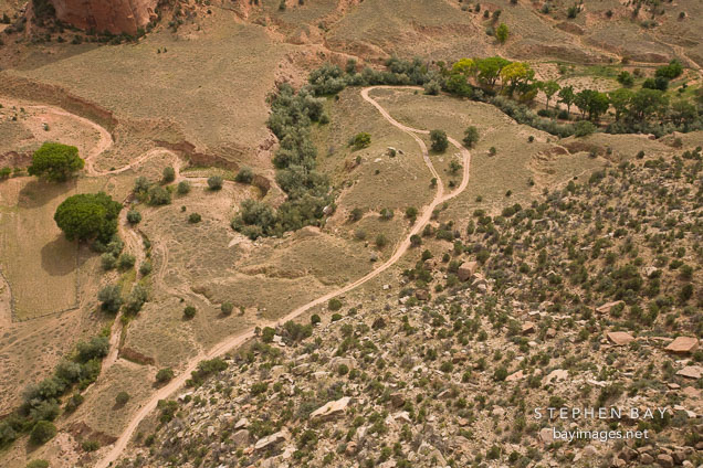 Floor of Canyon del Muerto. Canyon de Chelly NM, Arizona.