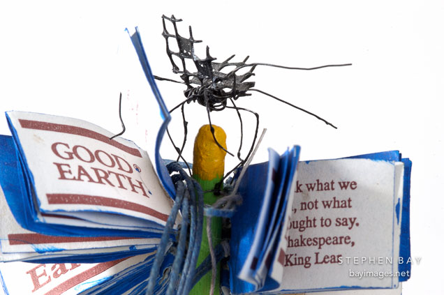Flower book by Ceevah Sobel.
