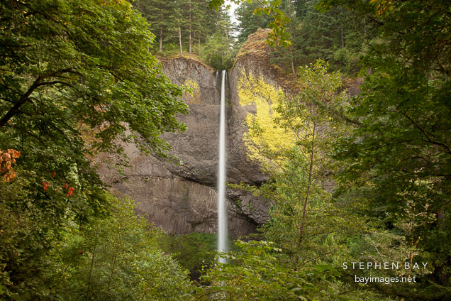 Latourell Falls in the Columbia River Gorge, Oregon.