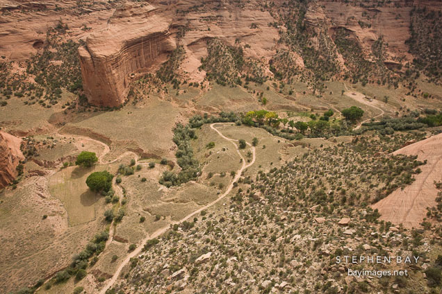 View of the canyon floor. Canyon del Muerto, Arizona.