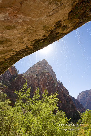 Water drops falling from Weeping Rock. Zion NP, Utah.