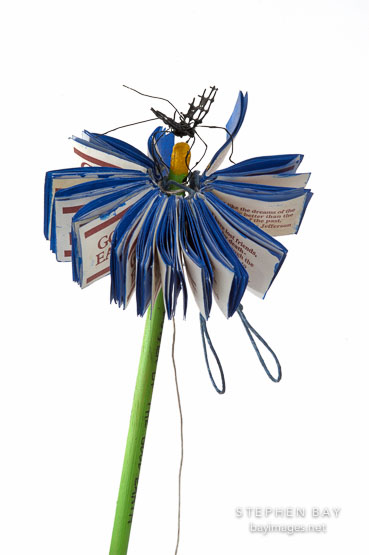 Flower book by Ceevah Sobel.