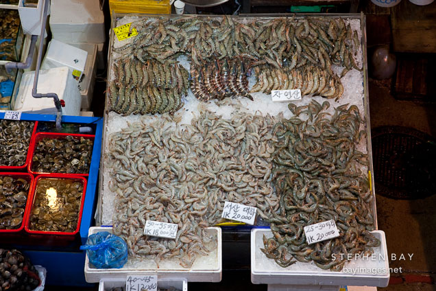 Shrimp (saeu) and shellfish. Noryangjin Fish Market, Seoul.