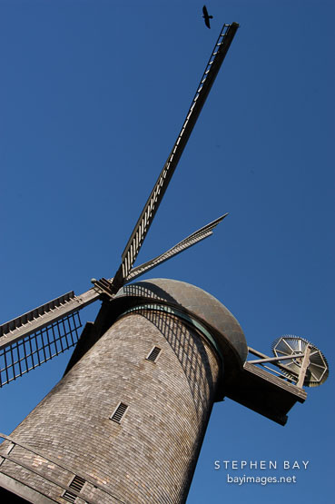 Dutch Windmill. Golden Gate Park, San Francisco, California, USA.