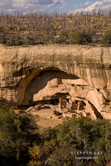 Oak Tree House, an Anasazi cliff dwelling. Mesa Verde NP, Colorado.