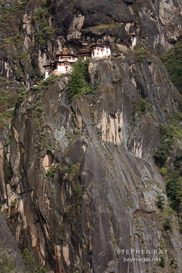 Taktshang Goemba sits 700 meters above the Paro Valley floor. Paro district, Bhutan