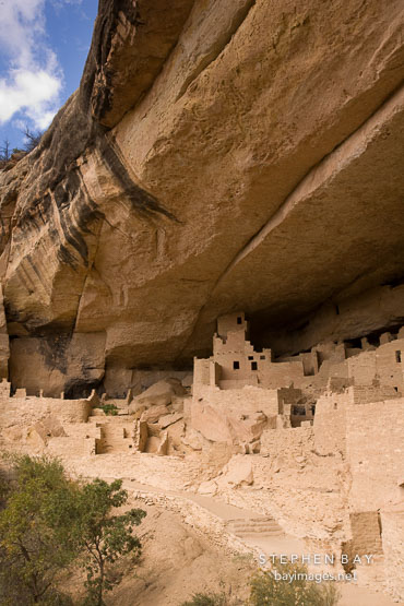 Cliff Palace is built into an alcove in the cliff face. Mesa Verde NP, Colorado.