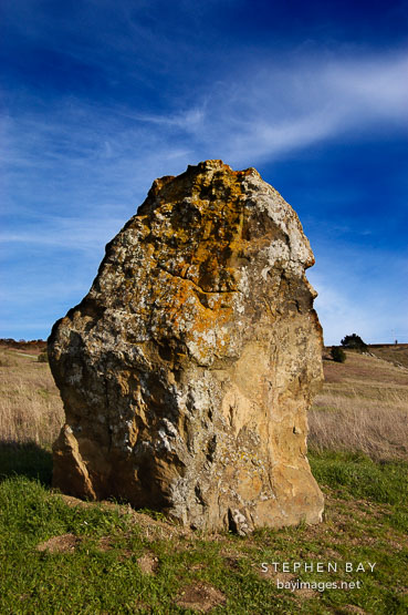 Large boulder. Russian Ridge Open Space Preserve. California.