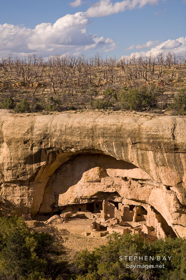 Oak Tree House is set into an alcove under the cliff top. Mesa Verde NP, Colorado.