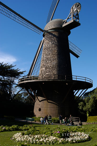 Dutch Windmill in the Queen Wilhelmina Tulip Garden. Golden Gate Park, San Francisco, California, USA.