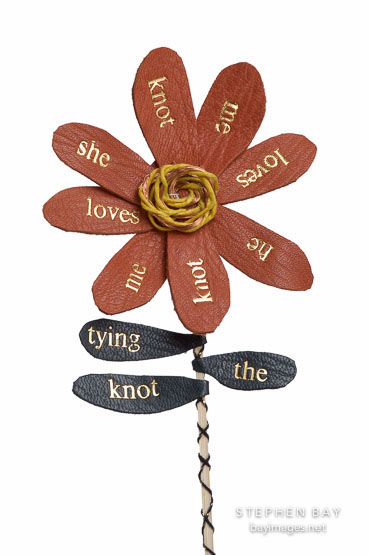 Flower book by Don Drake.