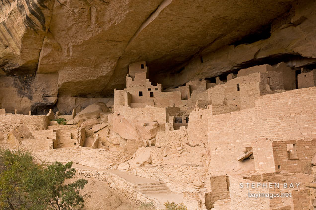 Cliff Palace is an extremely large settlement of Ancestral Puebloans. Mesa Verde NP, Colorado.