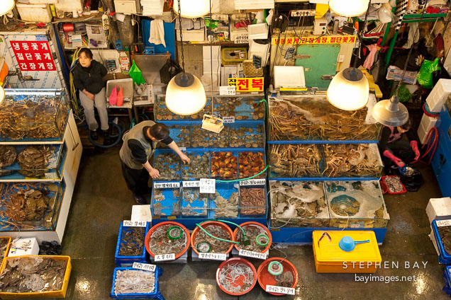 A vendor at the Noryangjin Fish Market in Seoul checks on his wares.