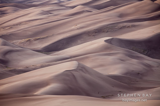 Close-up view of the dune field. Great Sand Dunes NP, Colorado.