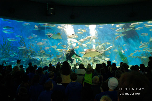 Crowd of visitors at Melbourne aquarium. Melbourne, Australia.