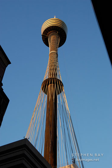 Sydney tower (AMP tower), late afternoon. Sydney, Australia.