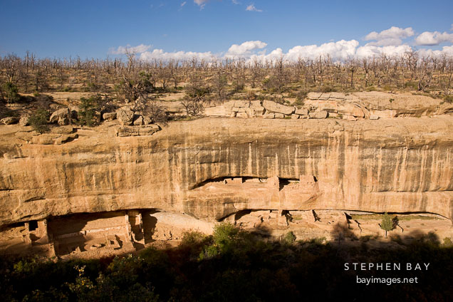 Fire Temple in late afternoon with shadow on the canyon walls. Mesa Verde NP, Colorado.