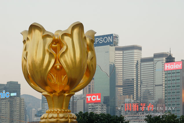 Golden Bauhinia. Hong Kong, China.