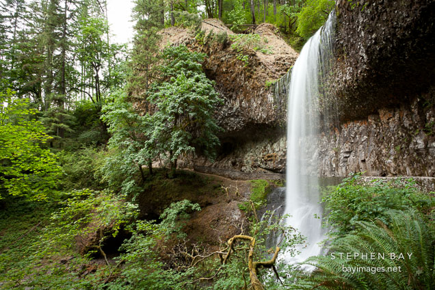 Path running under Lower South Falls. Silver Falls State Park, Oregon.