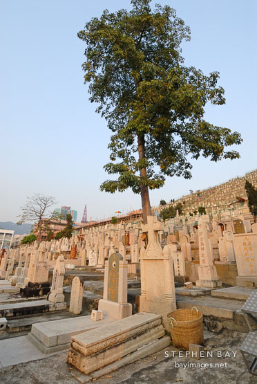 Chinese Christian Cemetery. Hong Kong.