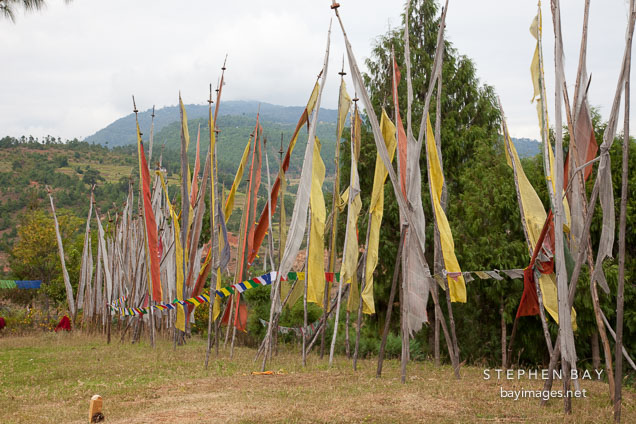 Prayer flags at Chimi Lhakhang.