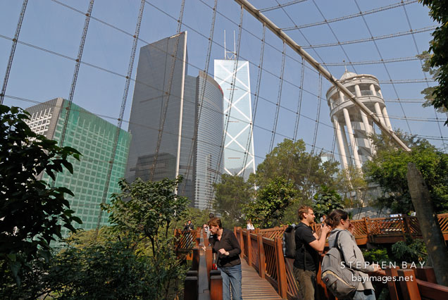 The Edward Youde Aviary is located in the center of Hong Kong. Hong Kong, China.