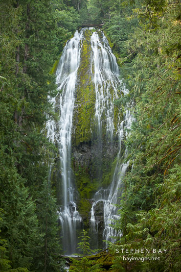 Lower Proxy Falls, Oregon.