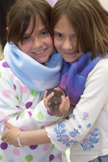 Brittney and Maegan Wilkerson, aged 7 and 8, hold their pet rat Norman. The Wonderful World of Rats, San Mateo, California.