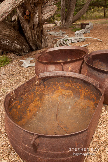 Rusted whaler's try pot for melting blubber into oil. Point Lobos, California.