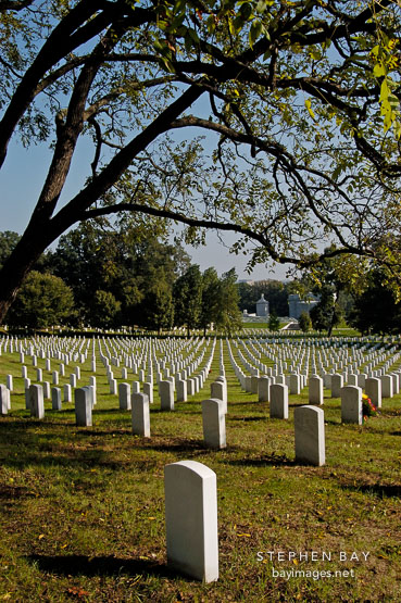 Rows of tombstones at Arlington National Cemetery. Arlington, Virginia, USA.