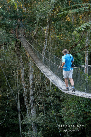 Walking a jungle canopy bridge. Amazon, Peru