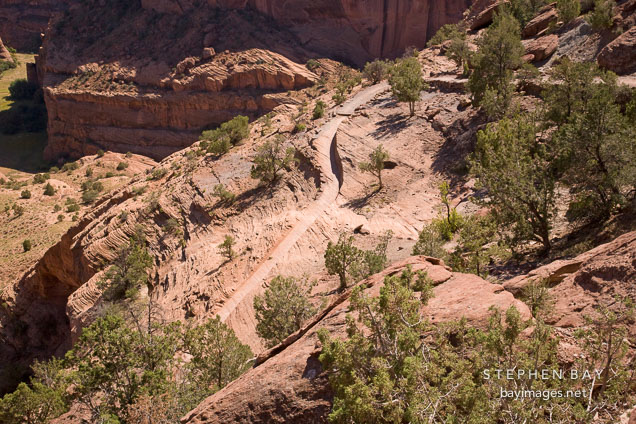 The White House Ruin Trail cuts into the sandstone rock. Canyon de Chelly, Arizona.