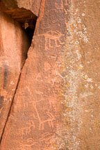 Ringtail-like petroglyph figure. V-Bar-V Ranch, Arizona, USA. - Photo #17800