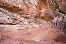 Rock wall at lower Emerald Pool. Zion NP, Utah. - Photo #19400