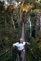 Walking a jungle canopy bridge. Amazon, Peru - Photo #8901