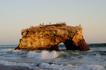 Natural bridges state beach at sunset, California, USA. - Photo #3810