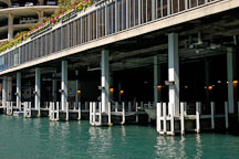 Marina city docks. Chicago, Illinois, USA. - Photo #10811