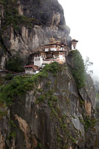 Tiger's nest monastery is perched on a cliff wall. Paro Valley, Bhutan. - Photo #24111