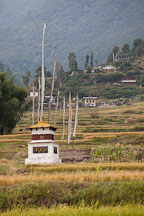 Chorten and prayer flags in fields of Sopsokha, Bhutan. - Photo #23612