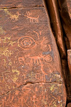 Petroglyphs of multiple animals including elk. V-bar-V Ranch, Arizona, USA. - Photo #17813