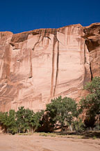 Desert varnish on the canyon walls. Canyon del Muerto, Arizona. - Photo #18114