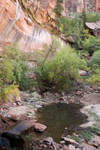 Lower Emerald Pool in October. Zion NP, Utah. - Photo #19414