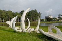 Whale bone artwork. Ballena. La Sabana Park, San Jose, Costa Rica. - Photo #14316