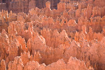 Close up of hoodoos and fins at Sunset Point. Bryce Canyon NP, Utah. - Photo #18917