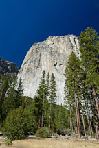 El Capitan. Yosemite National Park, California, USA. - Photo #4618
